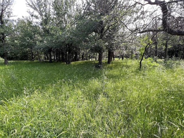 TBD County Road 137 Road, Cisco, TX 76437