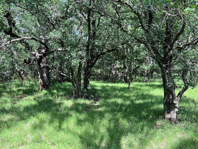TBD County Road 137 Road, Cisco, TX 76437