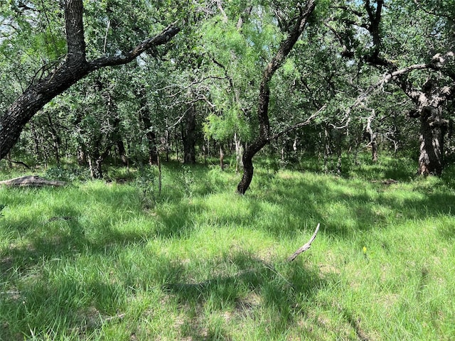 TBD County Road 137 Road, Cisco, TX 76437