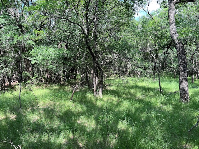 TBD County Road 137 Road, Cisco, TX 76437