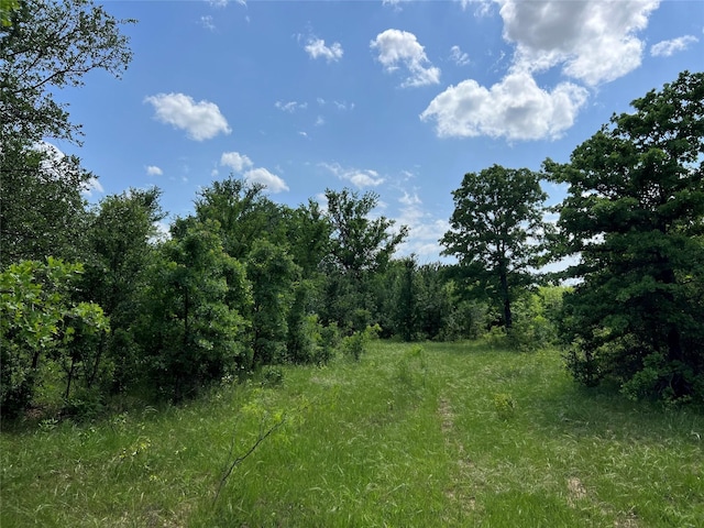 TBD County Road 137 Road, Cisco, TX 76437