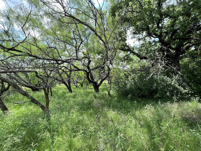 TBD County Road 137 Road, Cisco, TX 76437