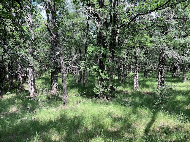 TBD County Road 137 Road, Cisco, TX 76437