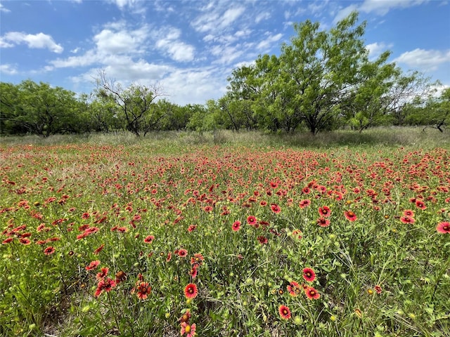 TBD County Road 137 Road, Cisco, TX 76437