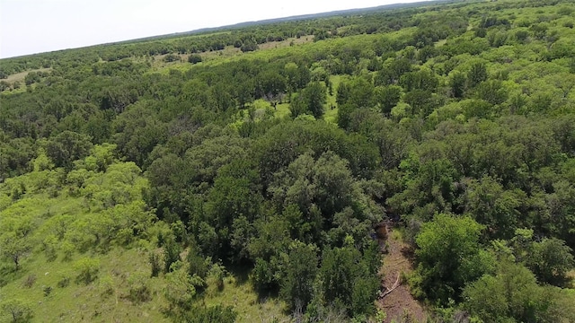 TBD County Road 137 Road, Cisco, TX 76437
