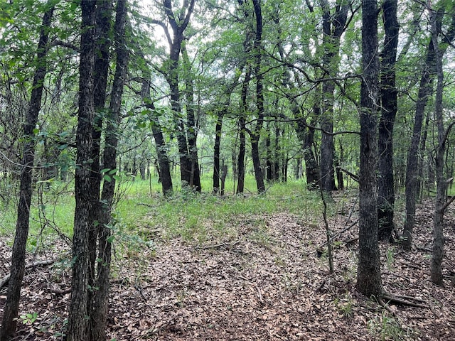 TBD County Road 137 Road, Cisco, TX 76437