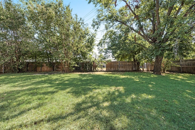 view of yard