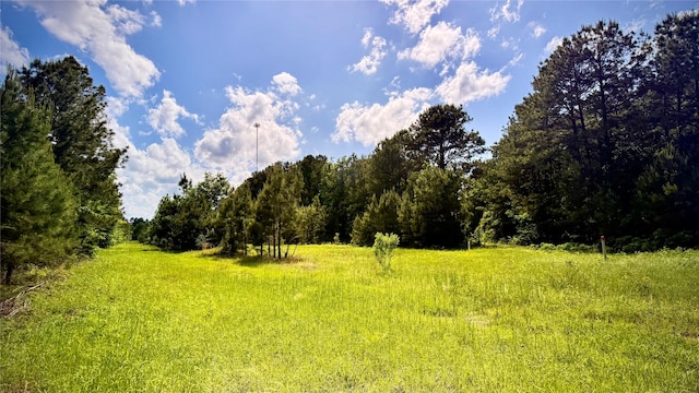 0 Bethel Rd, Frierson, LA 71027