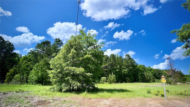 0 Bethel Rd, Frierson, LA 71027