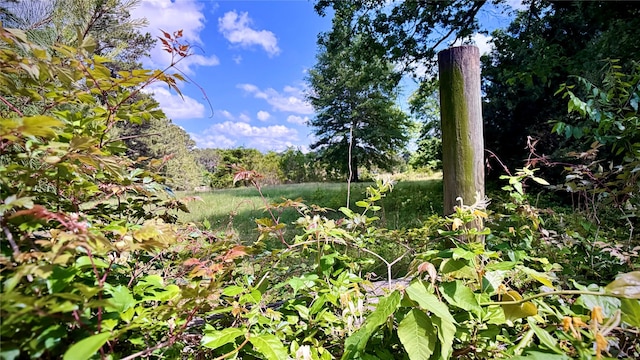 0 Bethel Rd, Frierson, LA 71027