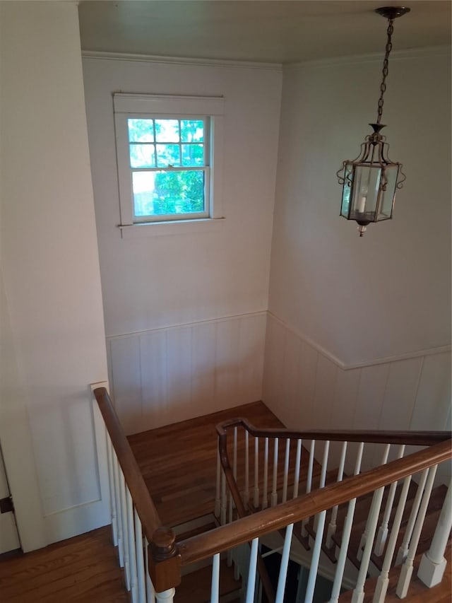 2234 Idlewild St, Abilene, TX 79605 - staircase with wood finished floors, crown molding, a wainscoted wall, and a decorative wall