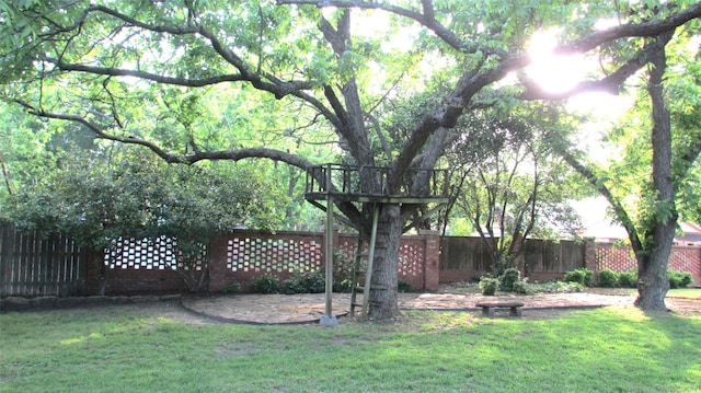 1509 N Gaines St, Ennis, TX 75119 - view of yard