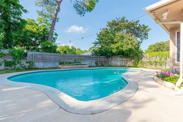 1307 S Westador Dr, Arlington, TX 76015 - view of pool featuring a fenced backyard and a patio area