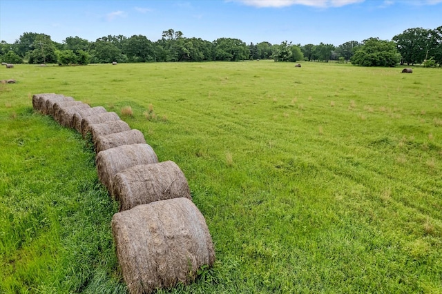 360 Rs County Road 3419, Emory, TX 75440 - view of green lawn featuring a view of rural / pastoral area