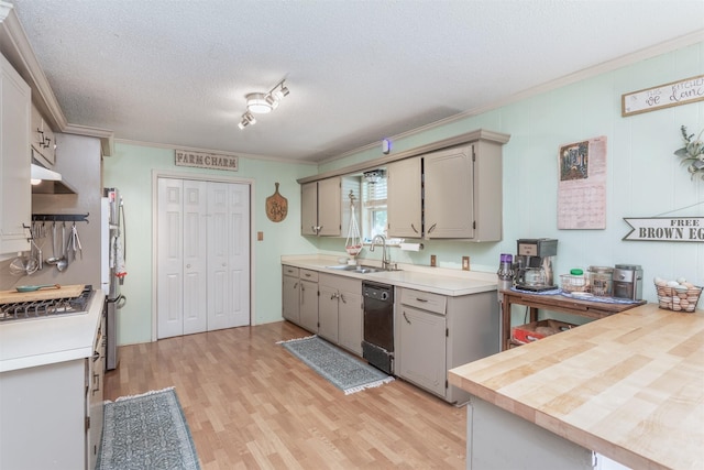 801 Dalton Dr, Princeton, TX 75407 - kitchen with appliances with stainless steel finishes, a sink, ornamental molding, gray cabinetry, and light wood-type flooring
