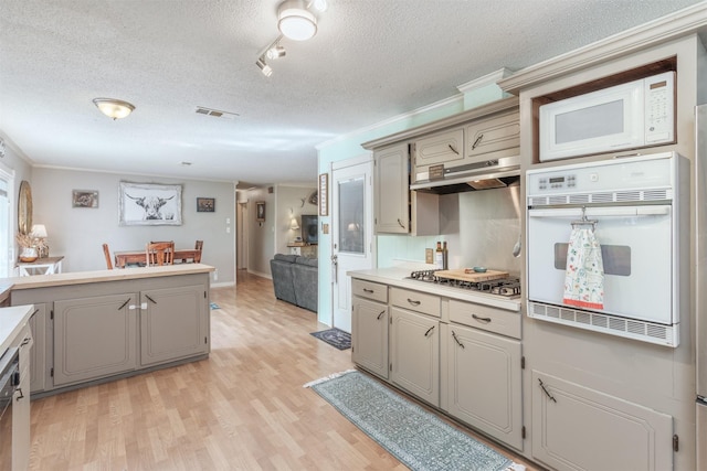 801 Dalton Dr, Princeton, TX 75407 - kitchen with light wood finished floors, a textured ceiling, gray cabinets, light countertops, and appliances with stainless steel finishes