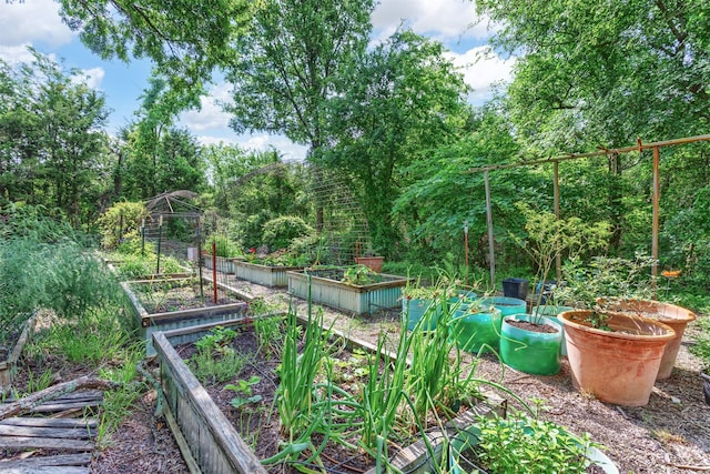 801 Dalton Dr, Princeton, TX 75407 - view of yard featuring a vegetable garden
