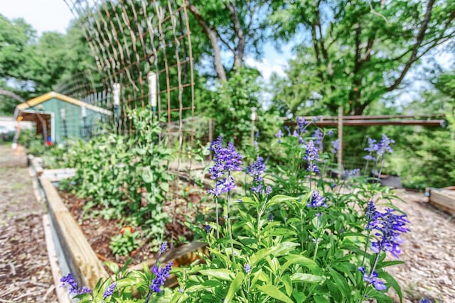 801 Dalton Dr, Princeton, TX 75407 - view of yard featuring a vegetable garden