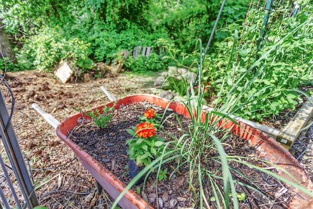 801 Dalton Dr, Princeton, TX 75407 - view of yard with a vegetable garden