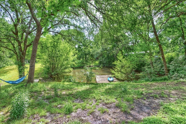801 Dalton Dr, Princeton, TX 75407 - view of yard