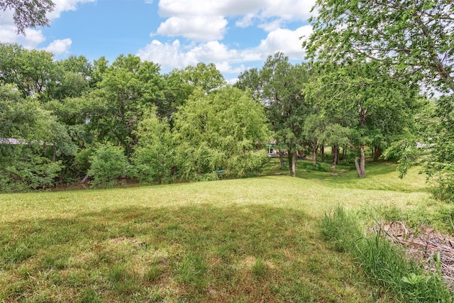 801 Dalton Dr, Princeton, TX 75407 - view of yard