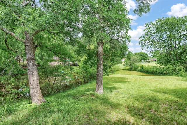 801 Dalton Dr, Princeton, TX 75407 - view of yard