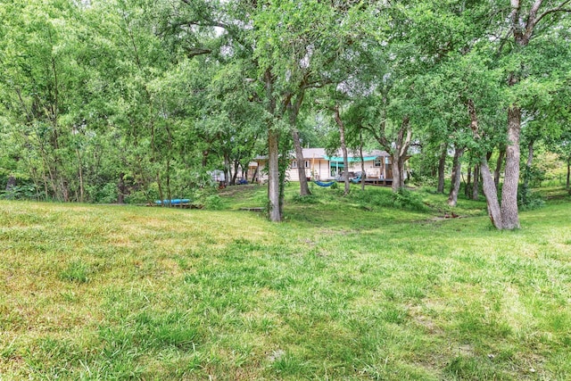 801 Dalton Dr, Princeton, TX 75407 - view of yard