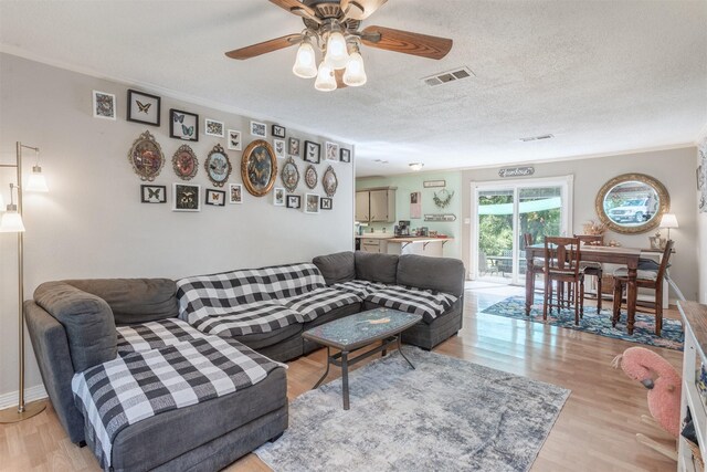 801 Dalton Dr, Princeton, TX 75407 - living area featuring ceiling fan, crown molding, light wood finished floors, and visible vents