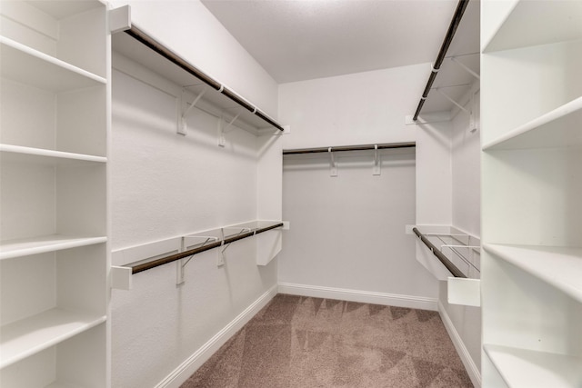 1451 Silver Sage Dr, Haslet, TX 76052 - spacious closet featuring carpet floors