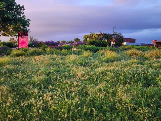 view of yard at dusk