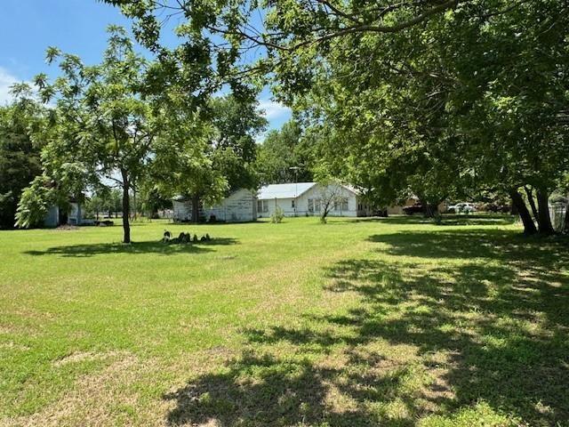 409 E College St, Leonard, TX 75452 - view of yard