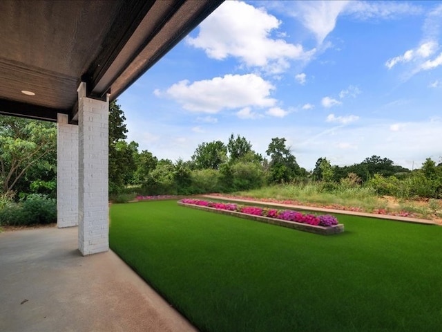 121 County Road 3471, Paradise, TX 76073 - view of yard
