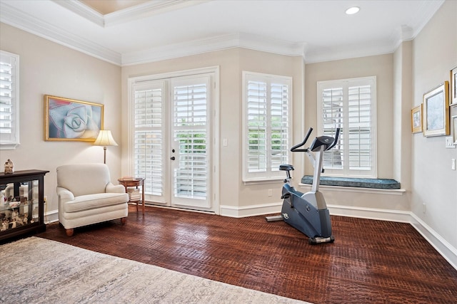 exercise room featuring ornamental molding, baseboards, and a healthy amount of sunlight