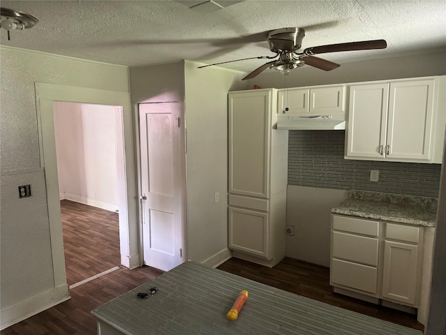 3616 Ave Ave N, Fort Worth, TX 76105 - kitchen with a ceiling fan, white cabinetry, dark wood-type flooring, under cabinet range hood, and decorative backsplash