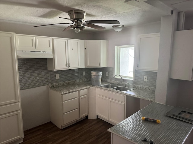 3616 Ave Ave N, Fort Worth, TX 76105 - kitchen featuring backsplash, dark wood-style floors, under cabinet range hood, and a sink