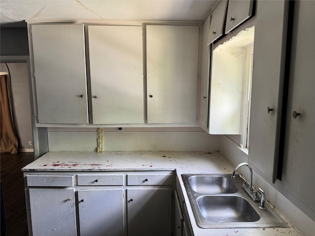 kitchen featuring light countertops and a sink