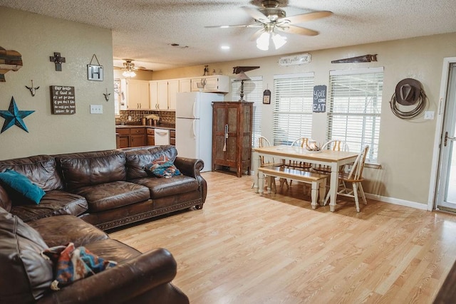 204 County Road 2211, Ivanhoe, TX 75447 - living area with baseboards, light wood-style floors, ceiling fan, and a textured ceiling