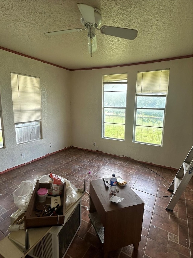 3819 N Terry St, Fort Worth, TX 76106 - spare room with ornamental molding, a textured ceiling, a textured wall, ceiling fan, and baseboards