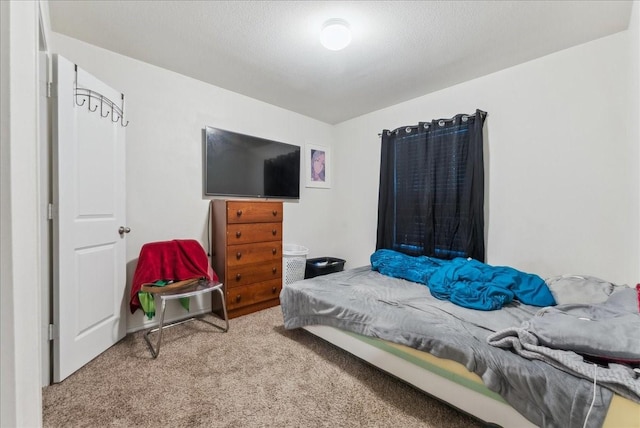 2408 Anton Dr, Forney, TX 75126 - view of carpeted bedroom