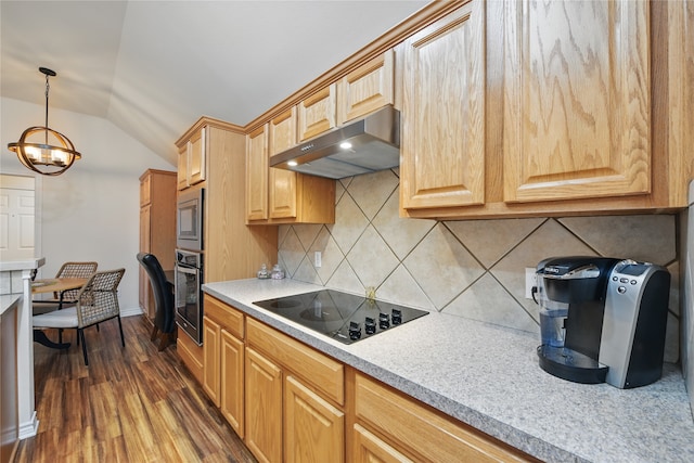 3861 Navarro Way, Frisco, TX 75034 - kitchen featuring stainless steel appliances, under cabinet range hood, vaulted ceiling, tasteful backsplash, and dark wood-style floors