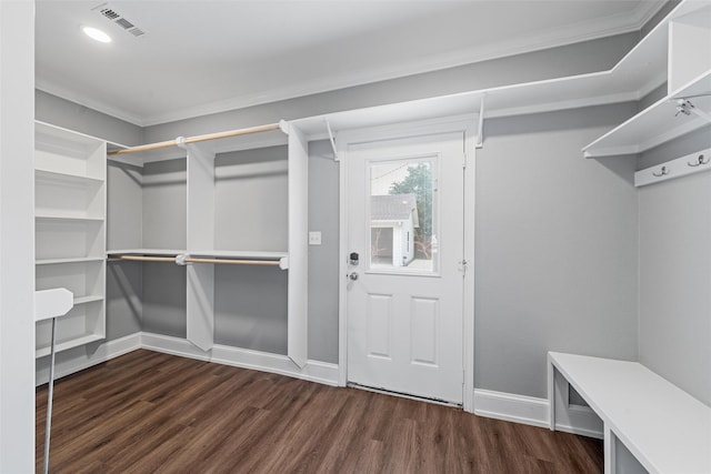 walk in closet featuring wood finished floors