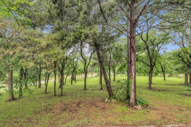 view of undeveloped land