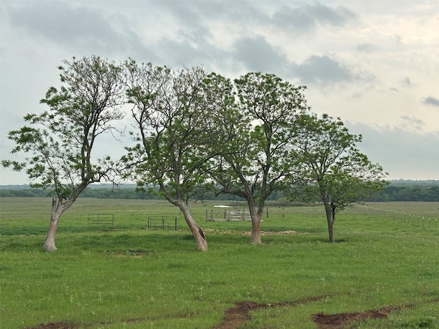 131/-AC Stine Rd, Ringgold, TX 76261