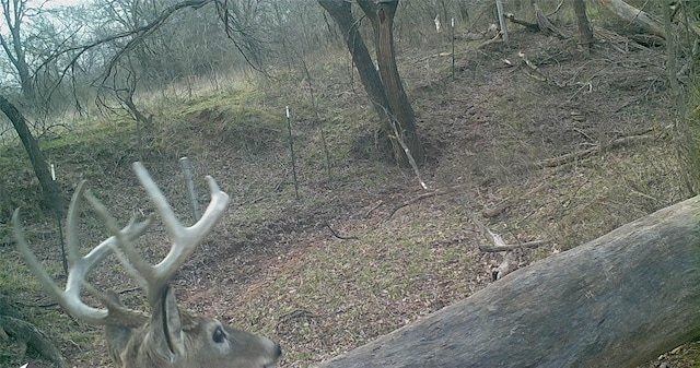 131/-AC Stine Rd, Ringgold, TX 76261