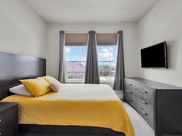 2209 Trace Ridge Dr, Weatherford, TX 76087 - bedroom with light colored carpet