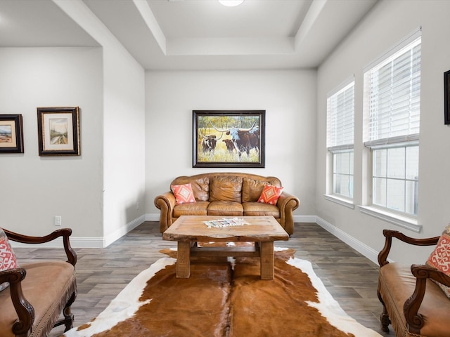 2209 Trace Ridge Dr, Weatherford, TX 76087 - living room featuring a tray ceiling, wood finished floors, and baseboards