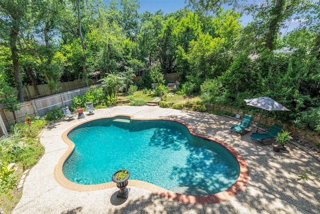 view of pool featuring a fenced backyard, a patio, and view of wooded area