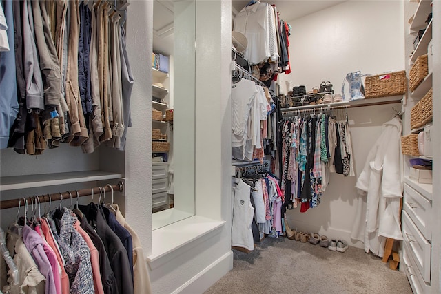 2700 Tremont Blvd, Mckinney, TX 75071 - spacious closet featuring carpet floors