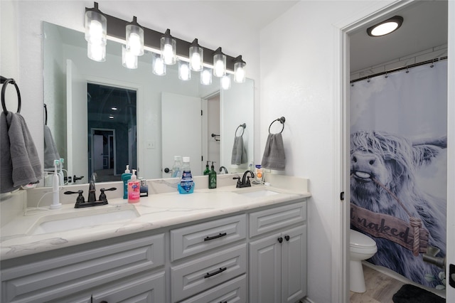 bathroom with toilet, double vanity, wood finished floors, and curtained shower