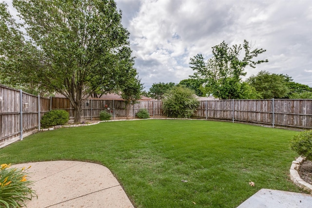 view of yard with a patio